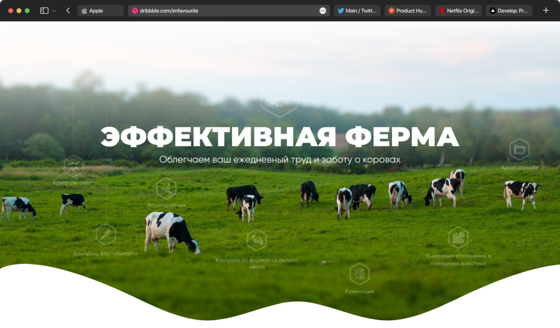Аналитика